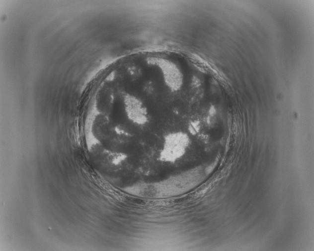 X0000070211262200606161632