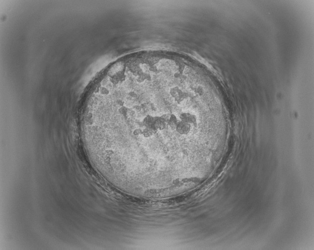 X0000070211263200606161632