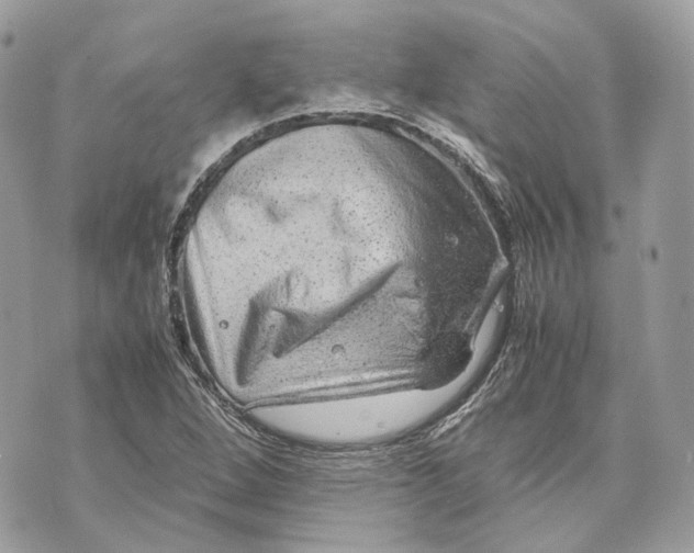 X0000070211264200606161632