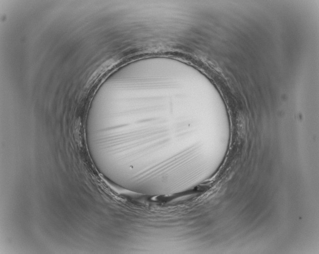 X0000070211265200606161632