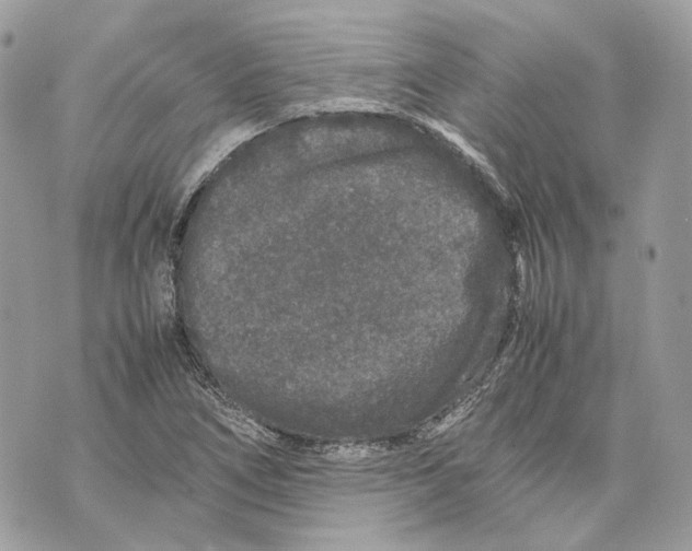 X0000070211266200606161632