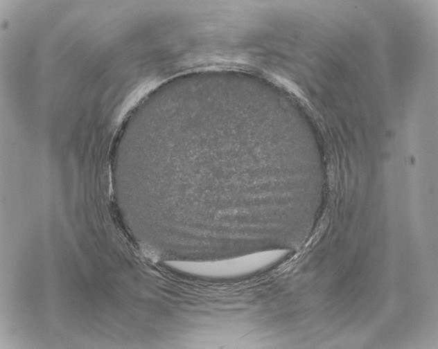 X0000070211267200606161632