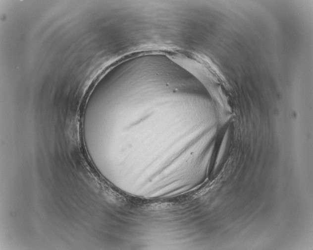 X0000070211268200606161632