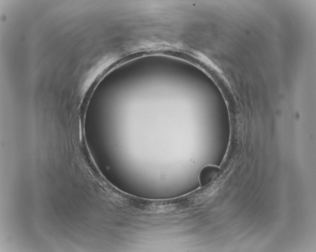 X0000070211269200606161632