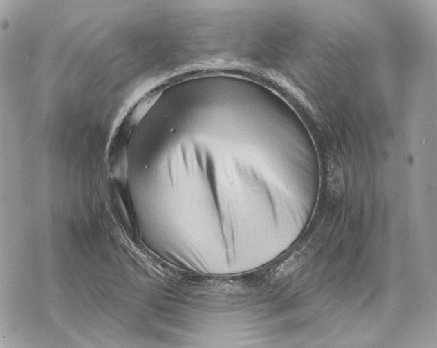 X0000070211270200606161632