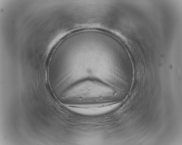 X0000070211271200606161632