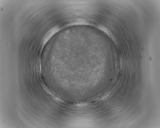 X0000070211274200606161632