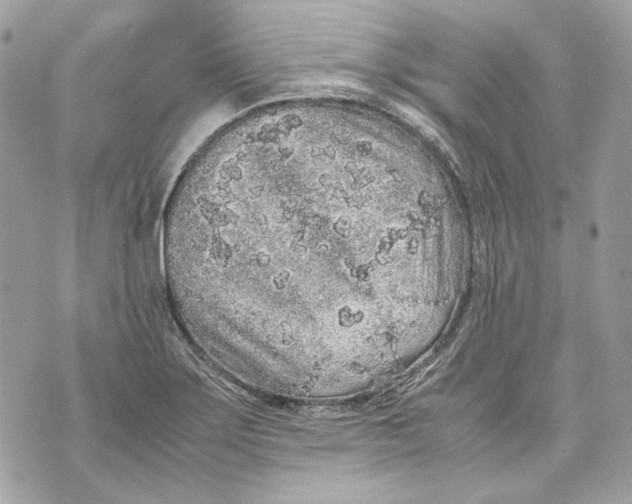 X0000070211275200606161632