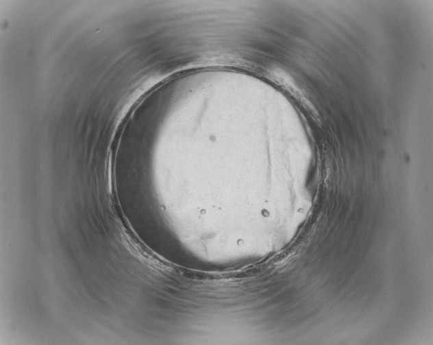 X0000070211276200606161632