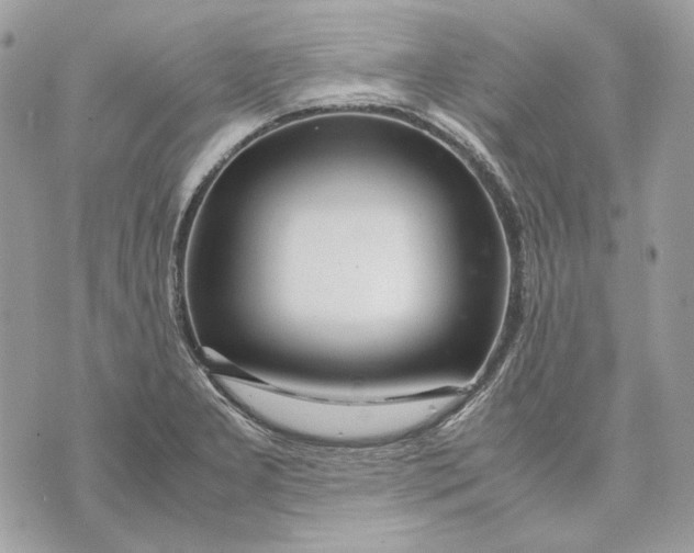 X0000070211277200606161632