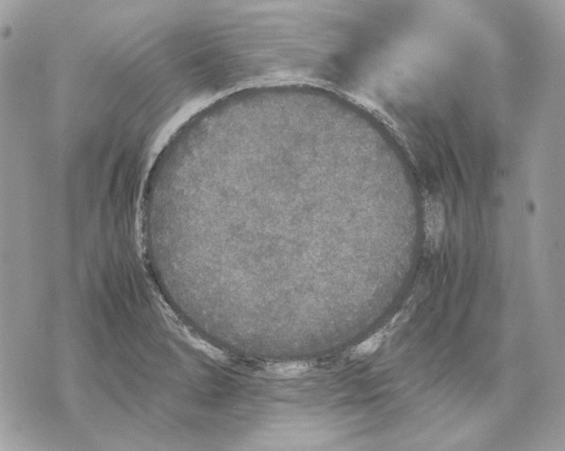 X0000070211278200606161632