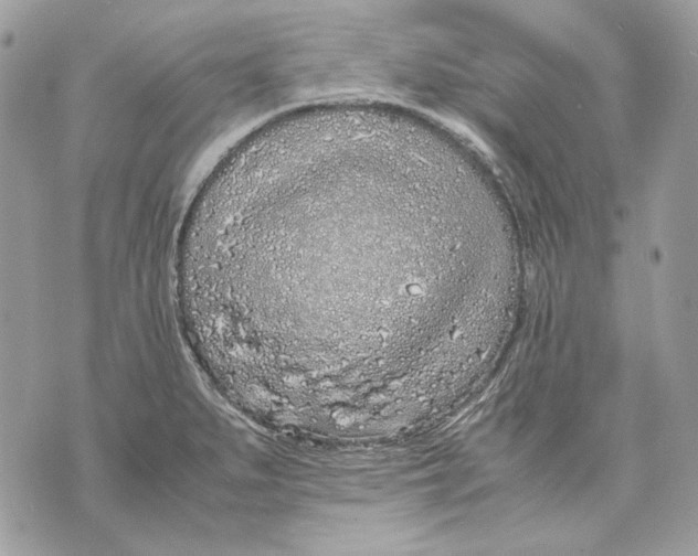 X0000070211279200606161632