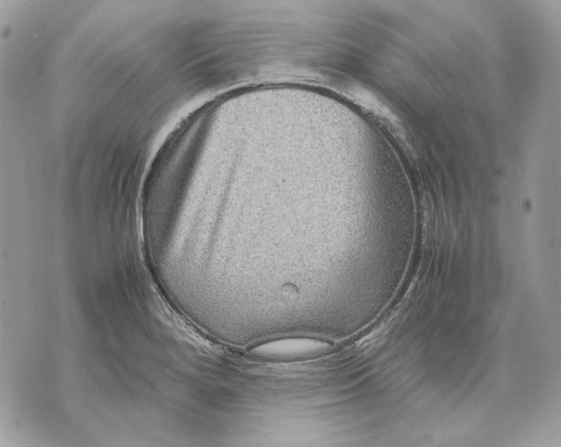 X0000070211280200606161632