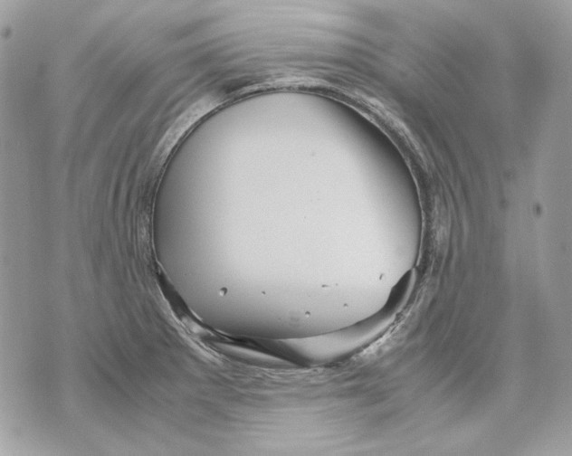 X0000070211281200606161632