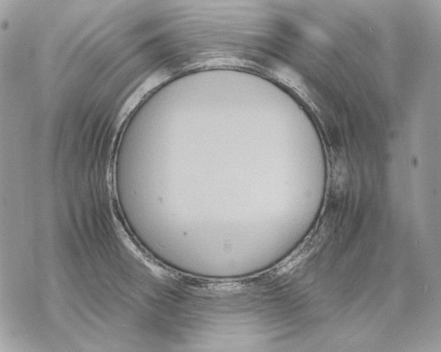 X0000070211282200606161632