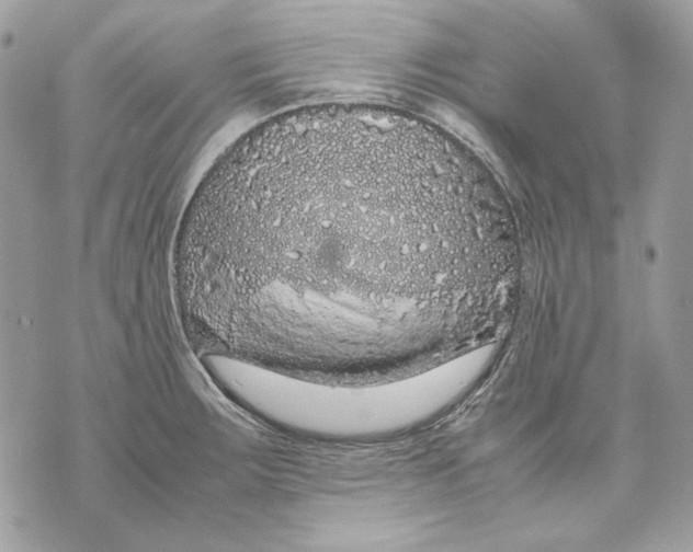 X0000070211283200606161632