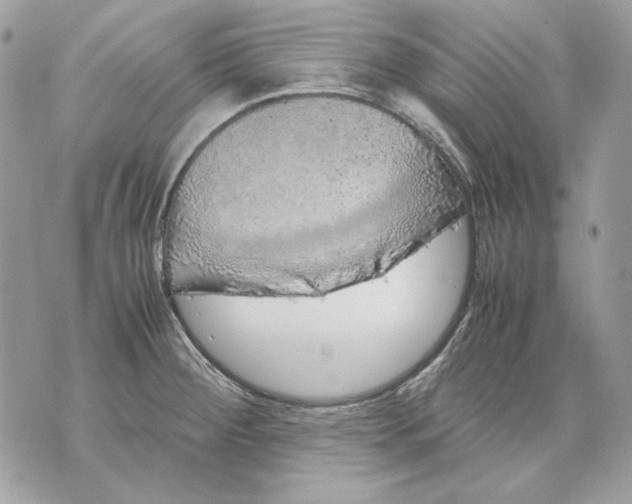 X0000070211284200606161632