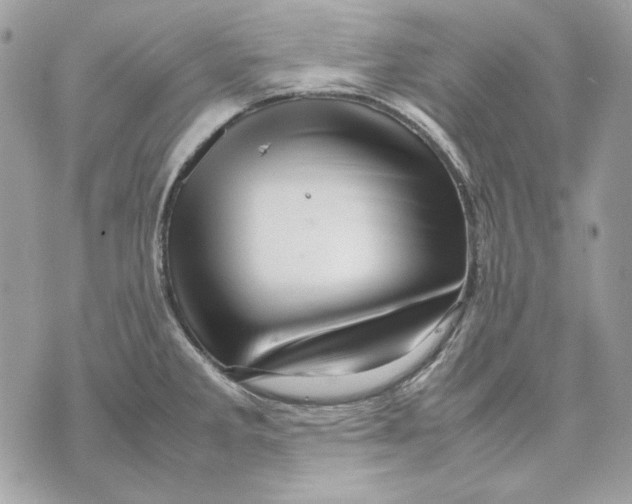 X0000070211285200606161632