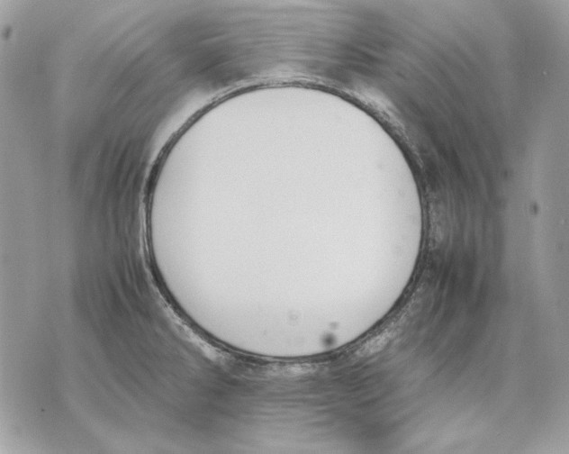 X0000070211286200606161632