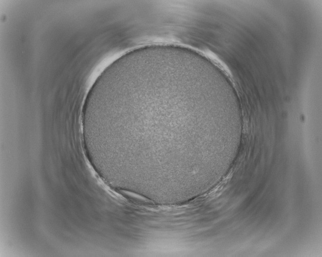 X0000070211287200606161632