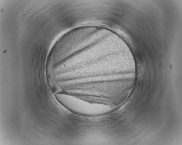 X0000070211288200606161632