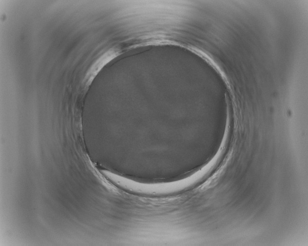 X0000070211289200606161632