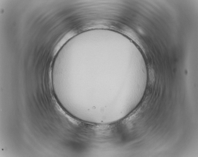 X0000070211290200606161632