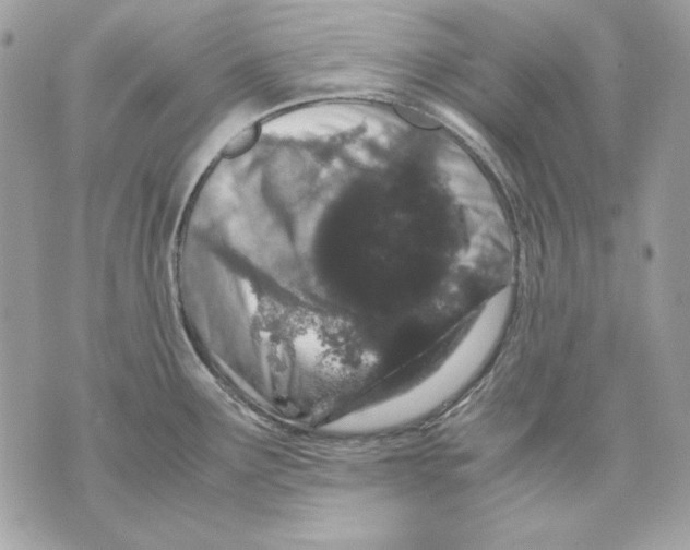 X0000070211291200606161632