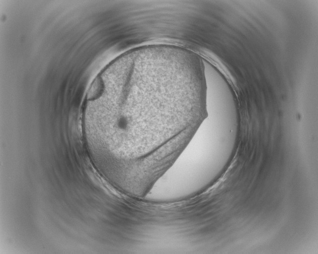 X0000070211292200606161632