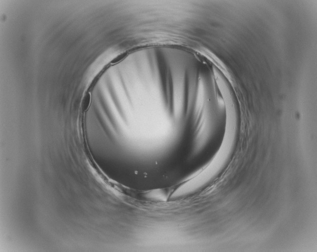 X0000070211293200606161632