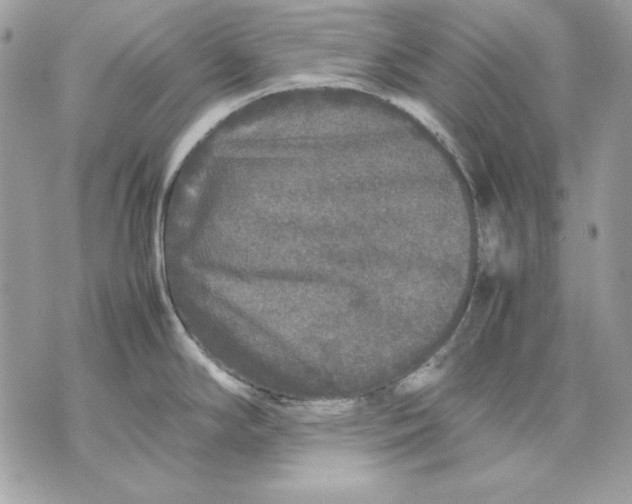 X0000070211294200606161632