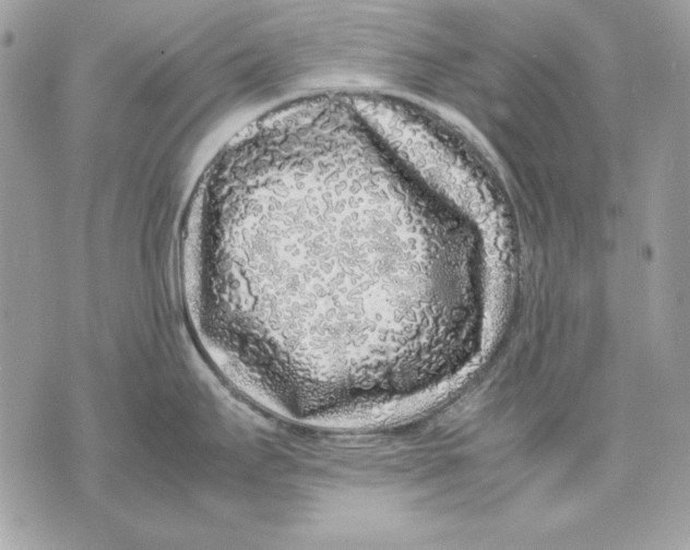 X0000070211295200606161632