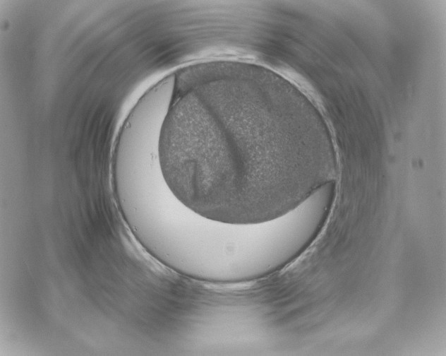 X0000070211296200606161632