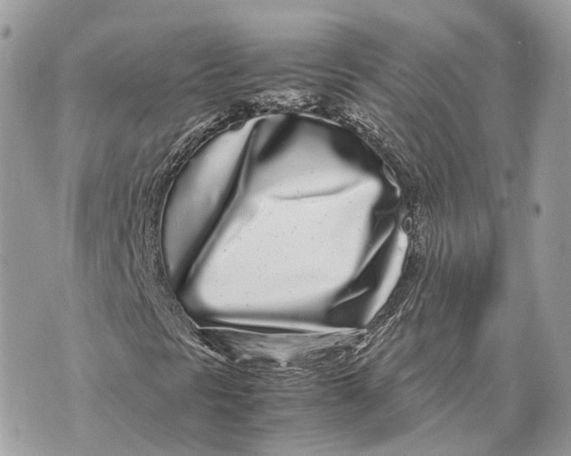 X0000070211297200606161631