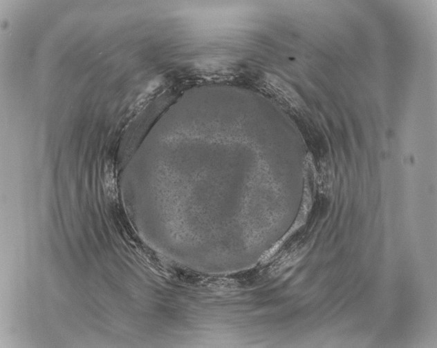 X0000070211298200606161631