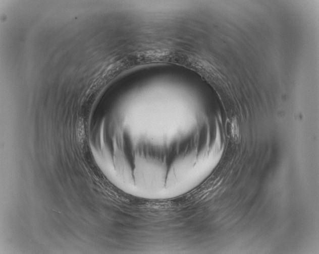 X0000070211299200606161631