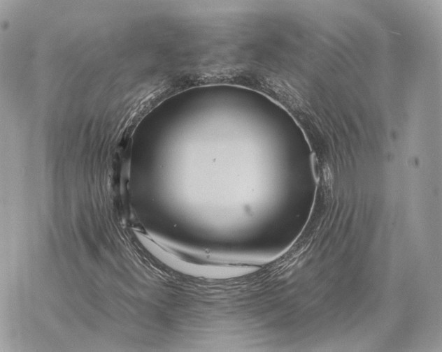 X0000070211300200606161631