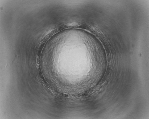 X0000070211301200606161631