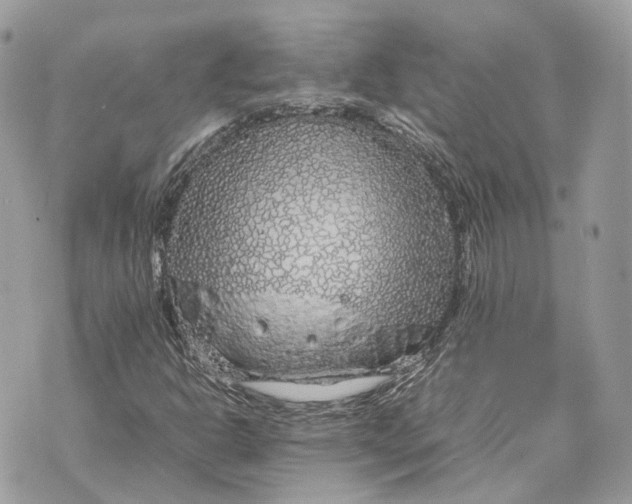 X0000070211302200606161631