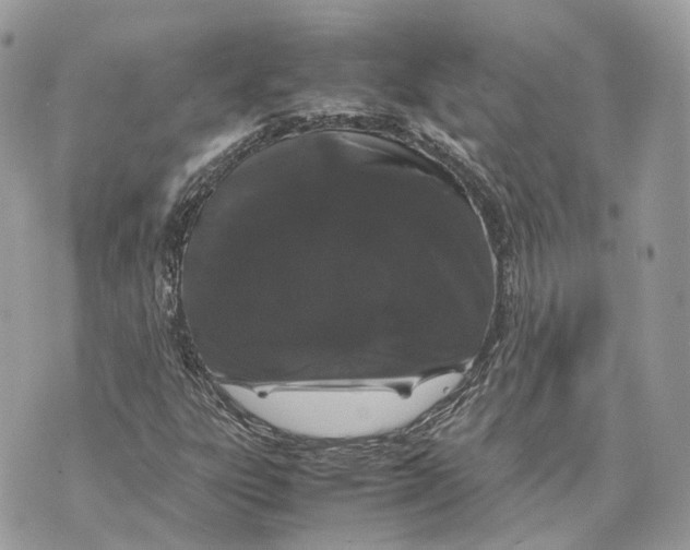 X0000070211303200606161631