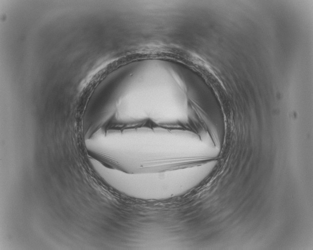 X0000070211304200606161631