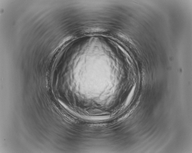 X0000070211305200606161631