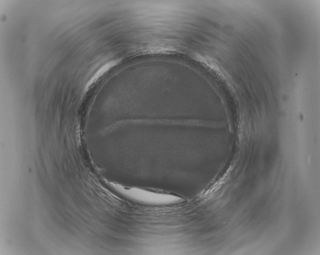 X0000070211306200606161631