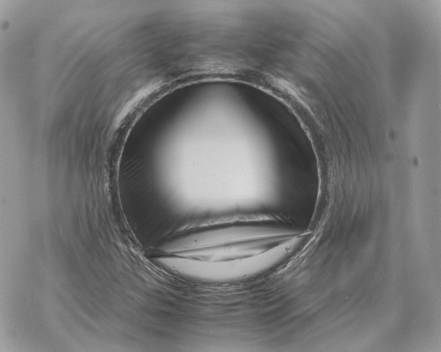 X0000070211307200606161631