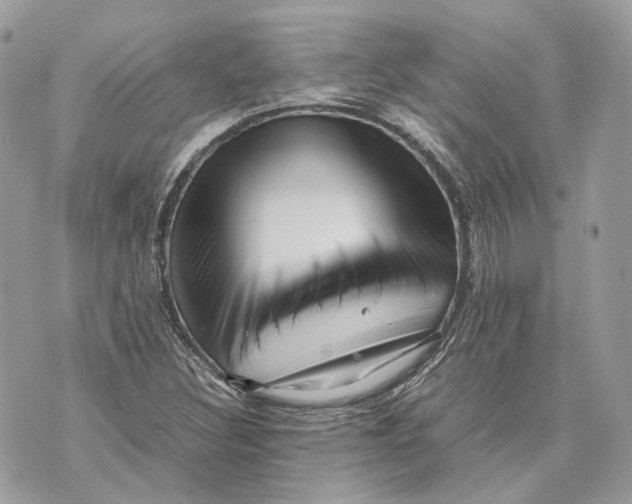 X0000070211308200606161631