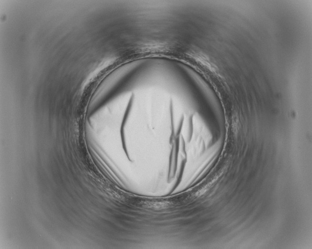 X0000070211309200606161631