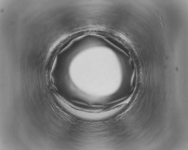 X0000070211310200606161631