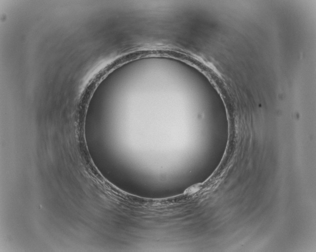 X0000070211311200606161631