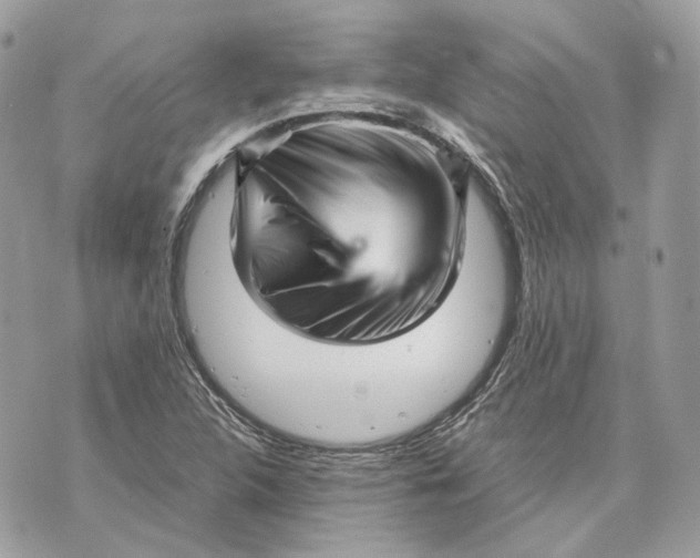 X0000070211312200606161631