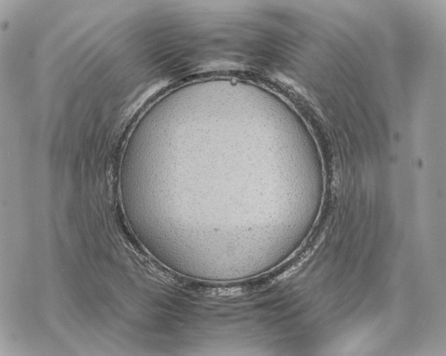 X0000070211313200606161631